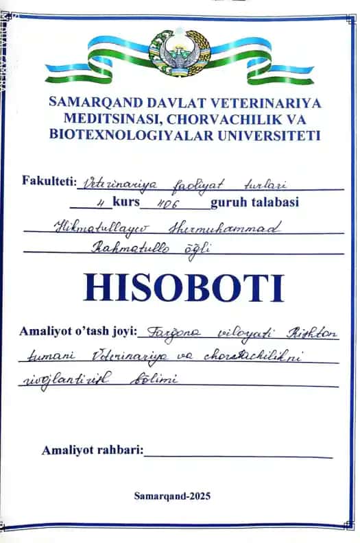 Xorazmiyning Geometriya asarlari
