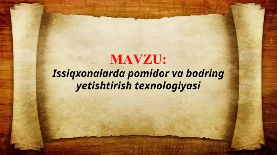 Issiqxonalarda pomidor va bodring yetishtirish texnologiyasi (TAQDIMOT)