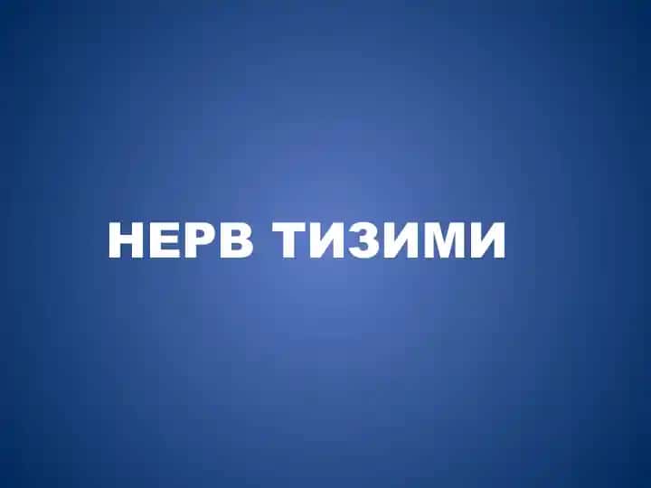 НЕРВТИЗИМИ