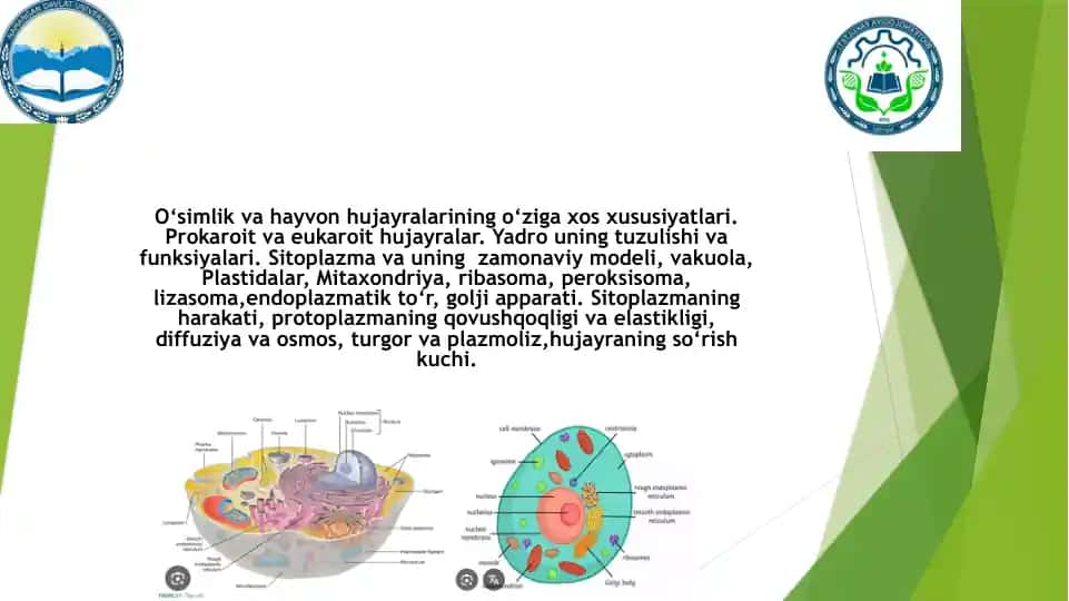 O‘simlik va hayvon hujayralarining tuzilishi va funksiyalari haqida taqdimot