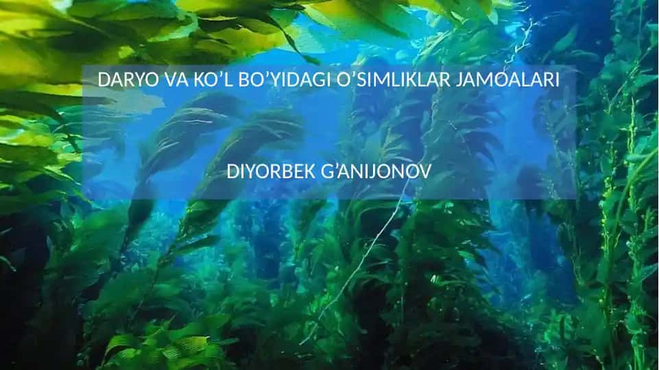 Daryo va Ko'l bo'yidagi o'simliklar jamoalari