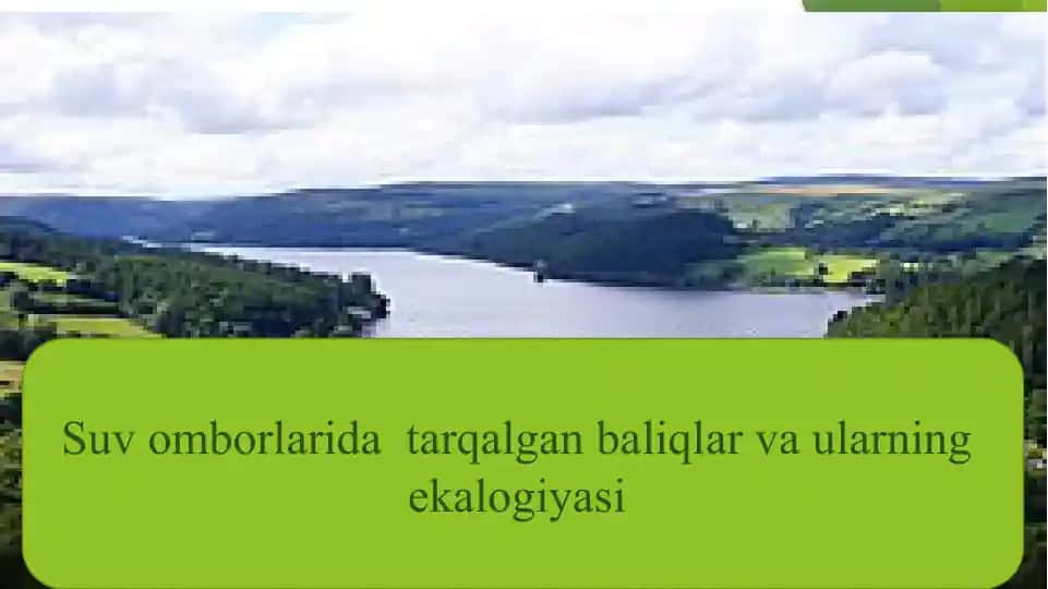 Suv omborlarida baliqlar va ularning ekalogiyasi