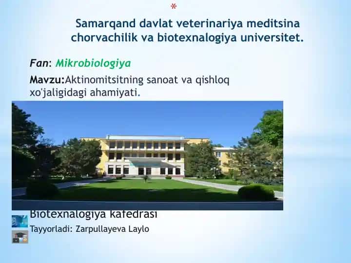 Aktinomitsitlar