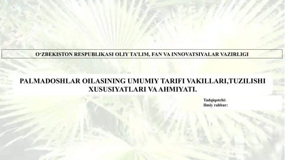 PALMADOSHLAR OILASINING UMUMIY TARIFI VAKILLARI,TUZILISHI XUSUSIYATLARI VA AHMIYATI