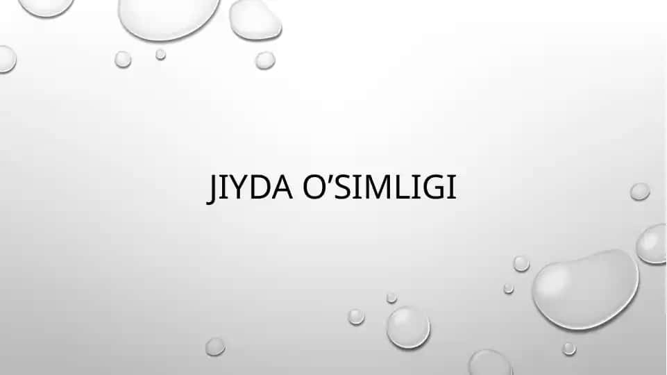 Jiyda o‘simligi