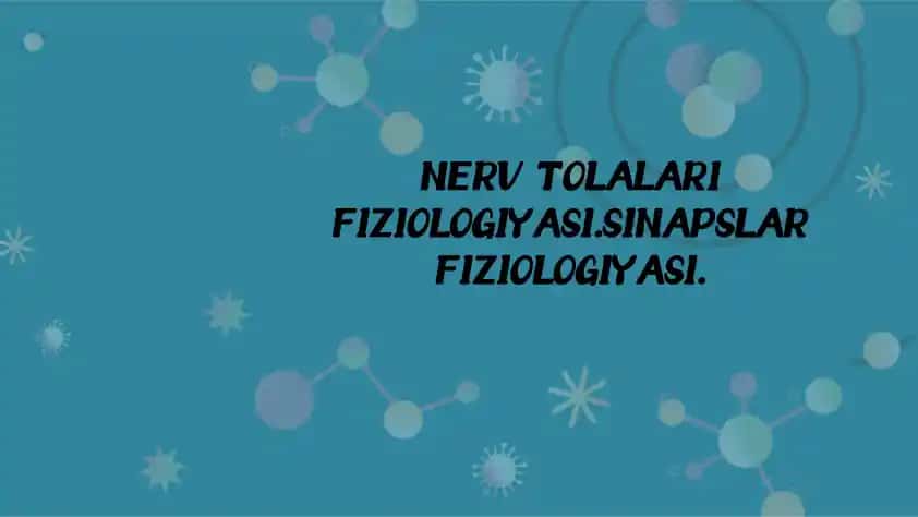 NERV TOLALARI FIZIOLOGIYASI.SINAPSLAR FIZIOLOGIYASI