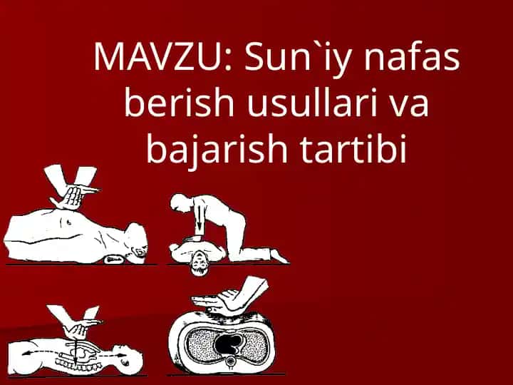 Nafas olish mеxanizmi