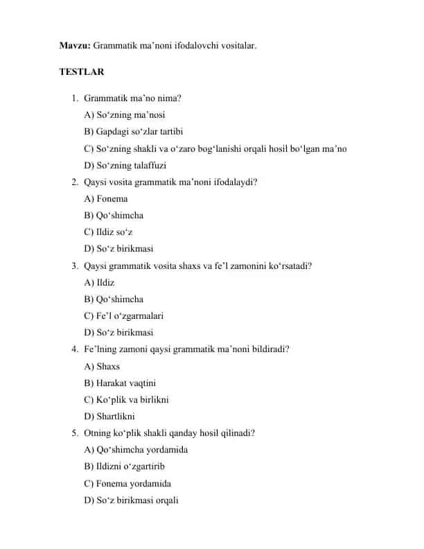 Grammatik ma’noni ifodalovchi vositalar.