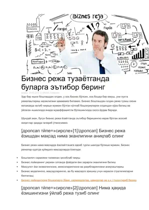 Biznes reja tuzish bo'yicha ma'lumotlar
