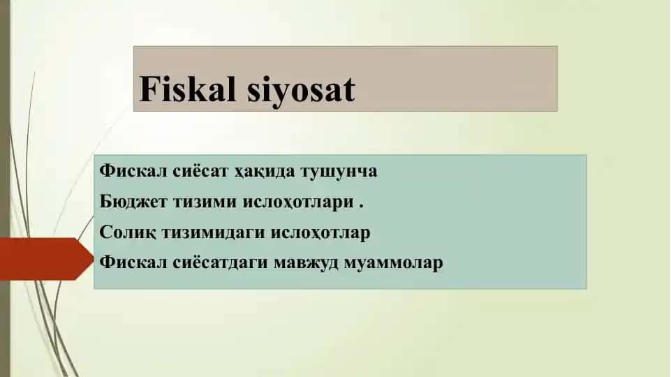 Фискал сиёсат