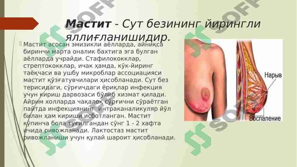 Jinsiy siklining gormonal boshqarilishi