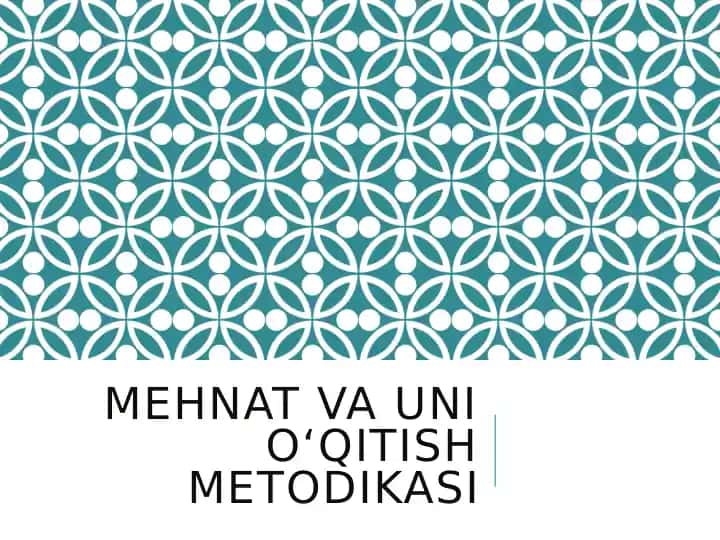 Mehnat vaunio‘qitish metodikasi