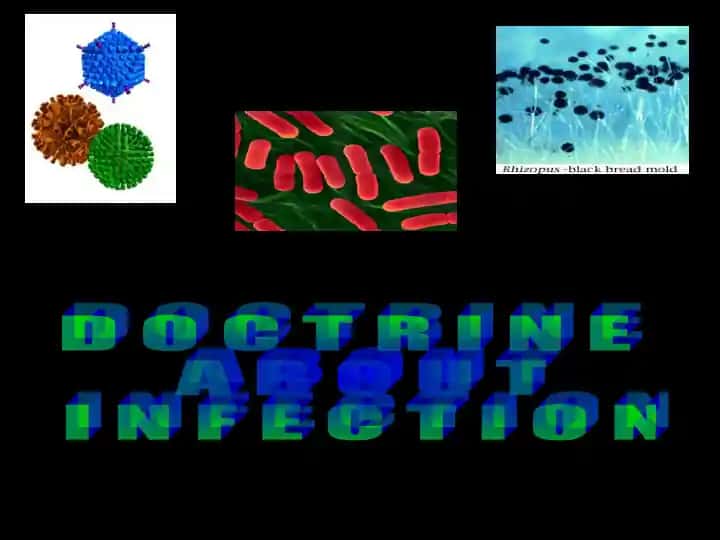 DOCTRINE ABOUT INFECTION