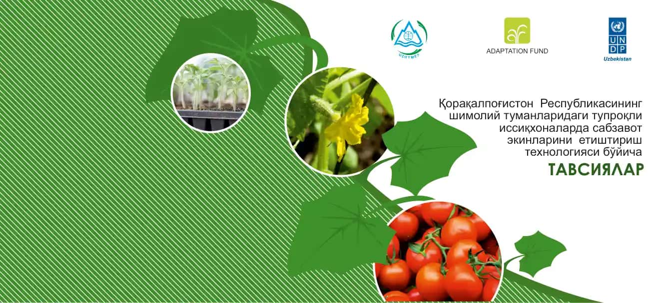 Qoraqalpog'iston Respublikasining shimoliy tumanlaridagi tuproqli issiqxonalar