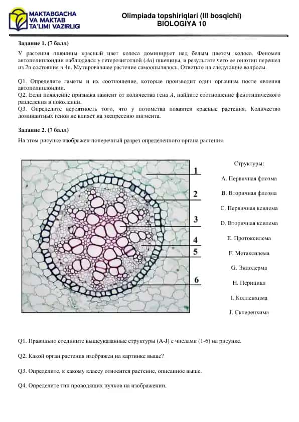 Olimpiada topshiriqlari (III bosqichi) BIOLOGIYA 10