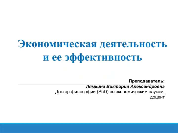 Экономическая деятельность и ее эффективность
