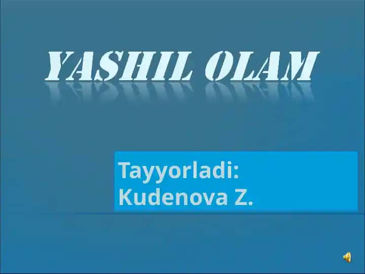 Daraxtlar va o'rmonlar