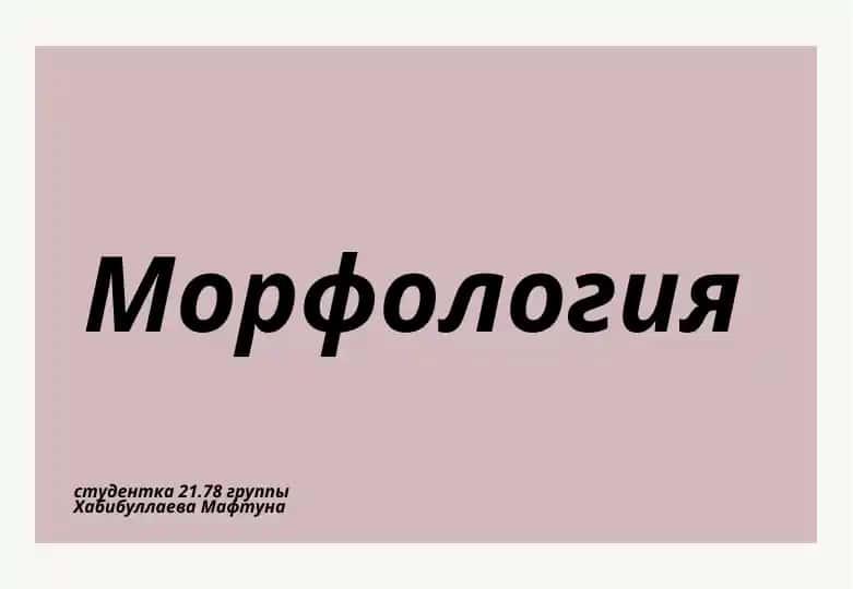 Морфология
