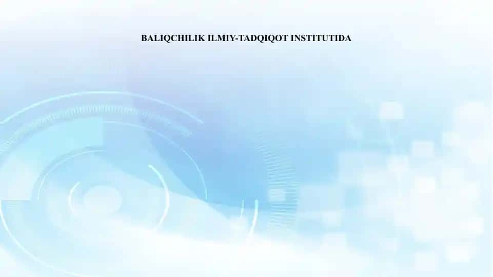 Baliqchilik ilmiy-tadqiqot instituti amaliyoti hisobot