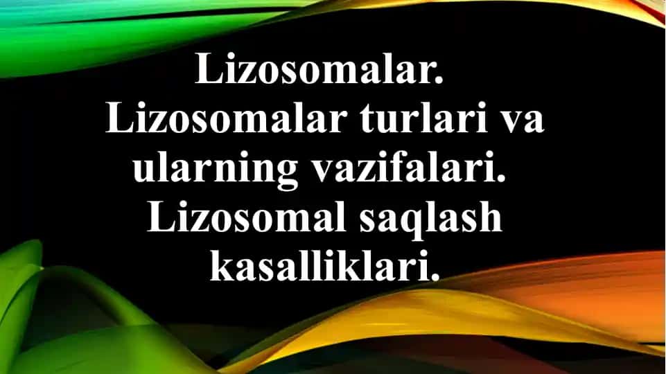 Lizosomalar