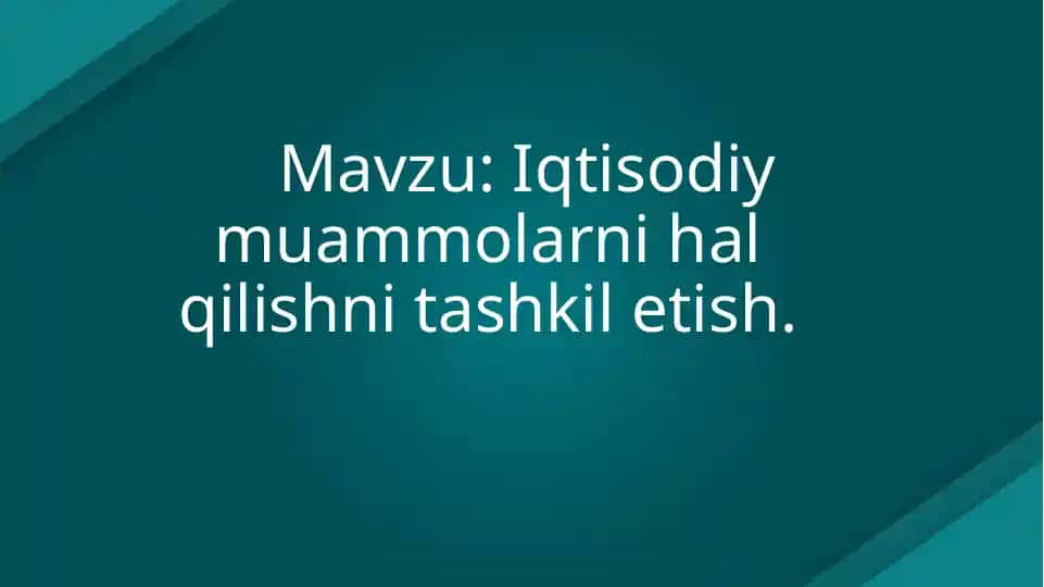 Iqtisodiy muammolarni hal qilishni tashkil etish