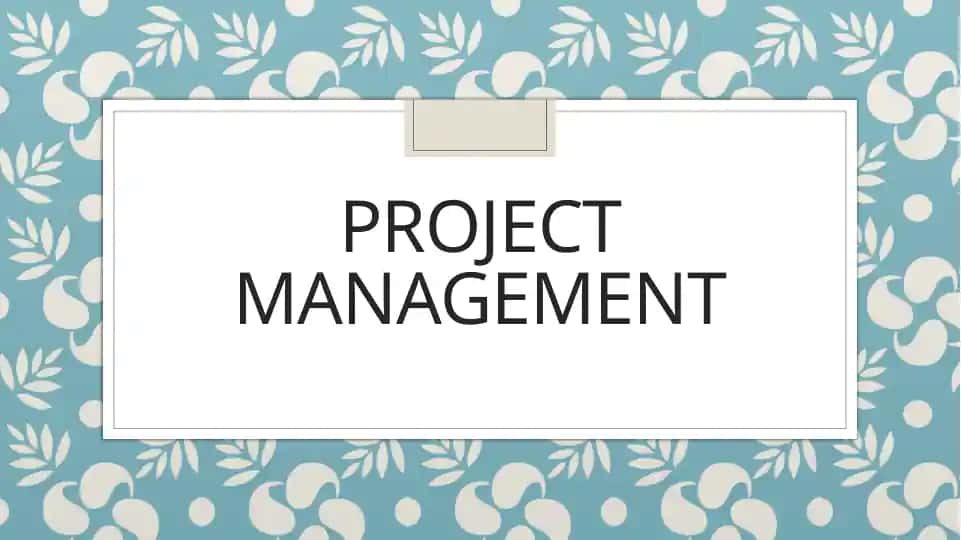 Project management