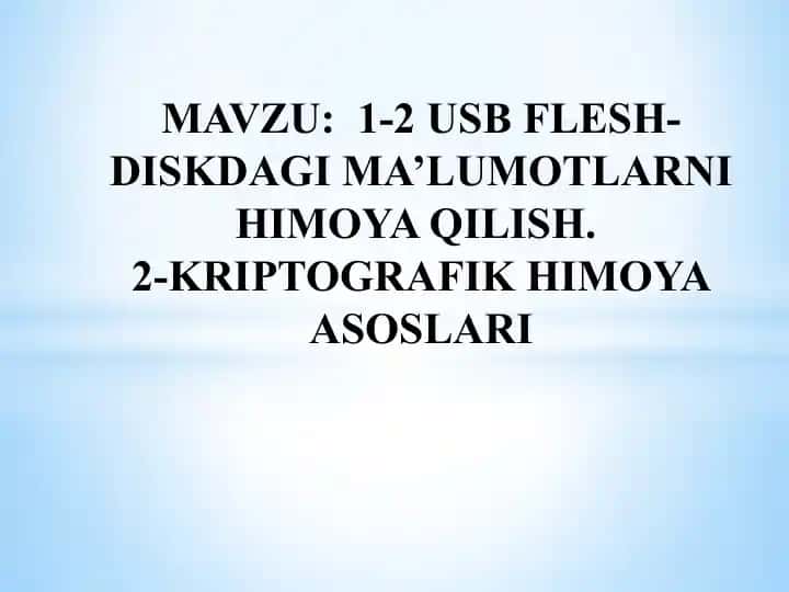 USB Flesh disk
