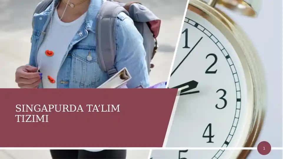 Singapurda ta'lim tizimi