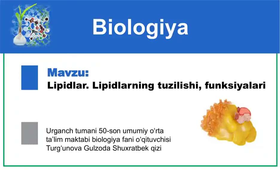 Lipidlar