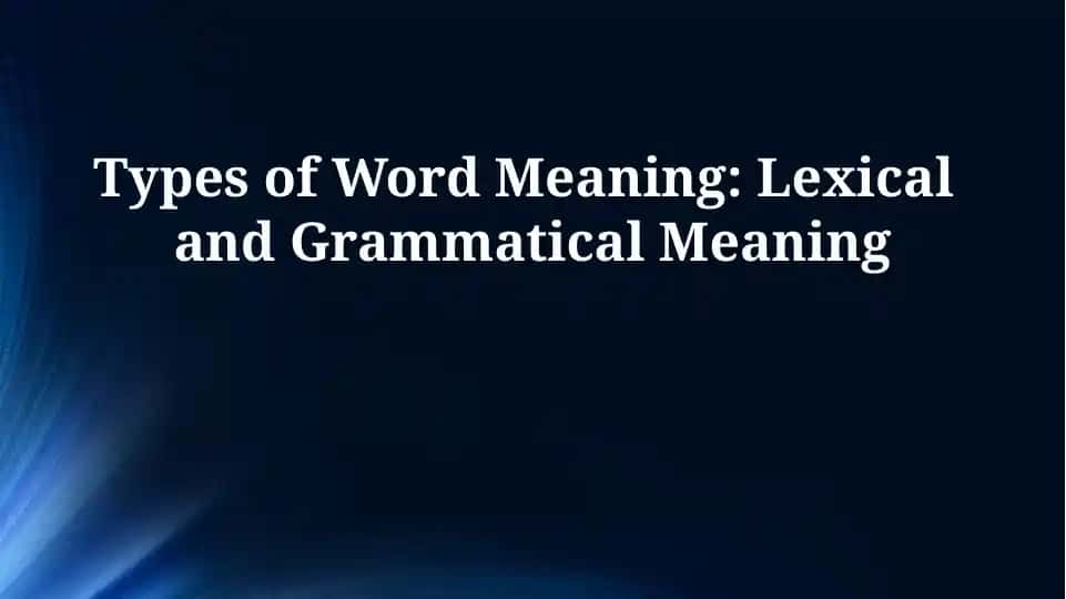 Types of Word Meaning: Lexical and Grammatical Meaning