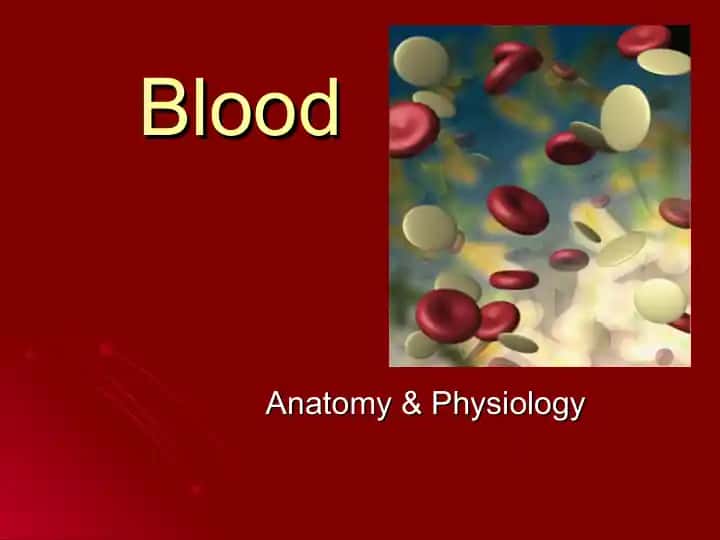 Functions of blood