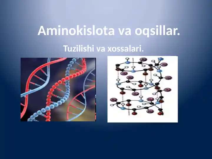 Aminokislotavaoqsillar
