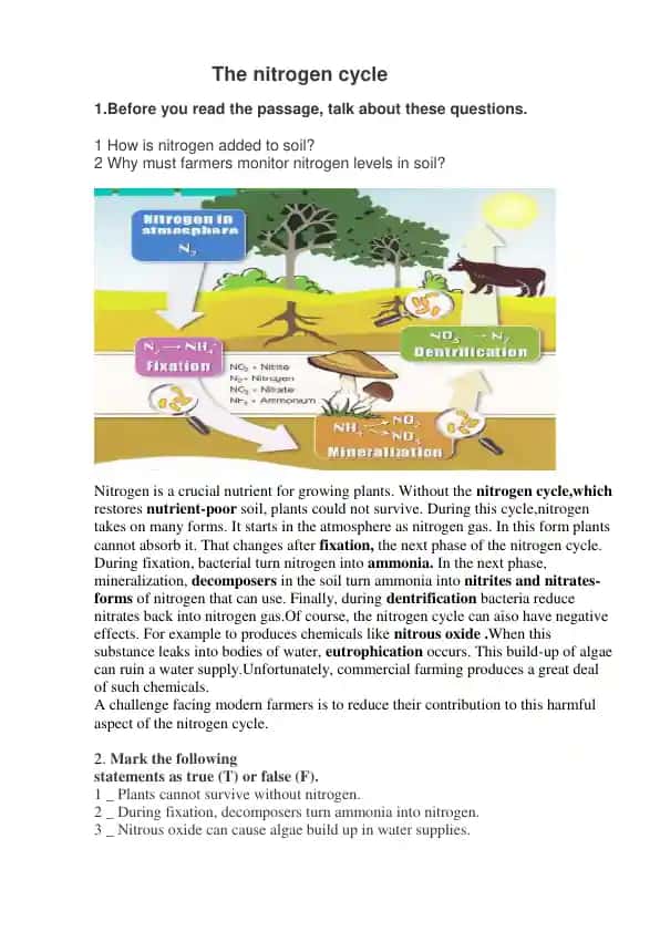 The Nitrogen Cycle