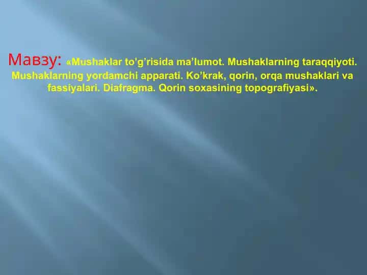 Mushaklar to’g’risida ma’lumot