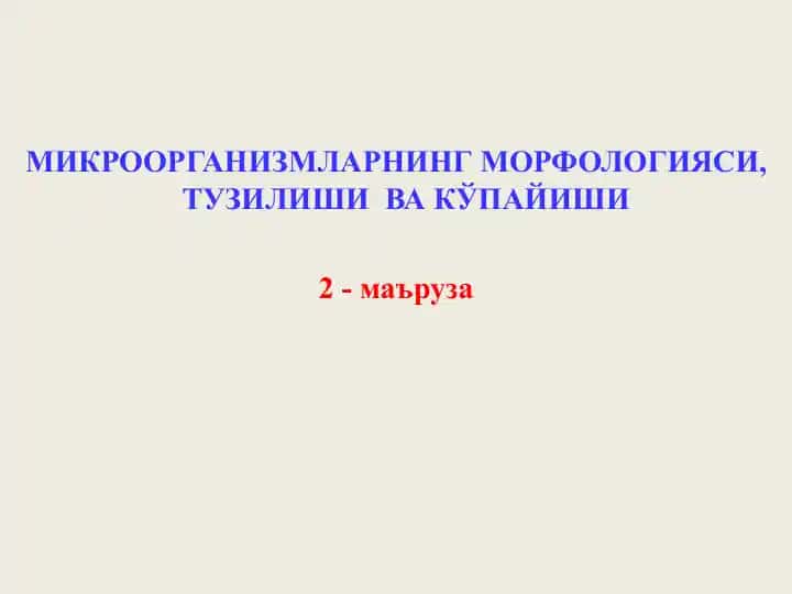 Mikroorganizmlarning morfologiyasi, tuzilishi va ko‘payishi