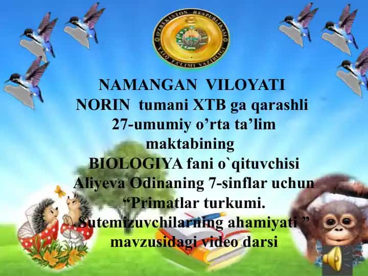 Primatlar turkumi. Sutemizuvchilarning ahamiyati video darsi