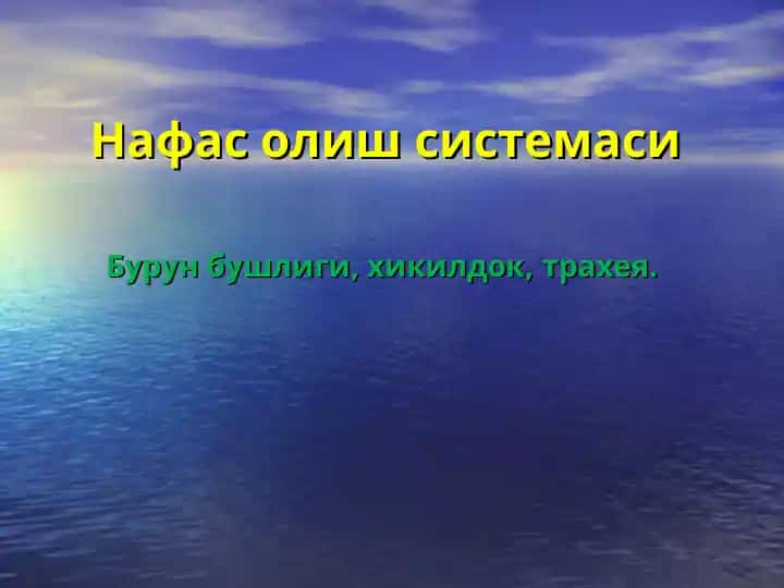 Нафас олиш системаси