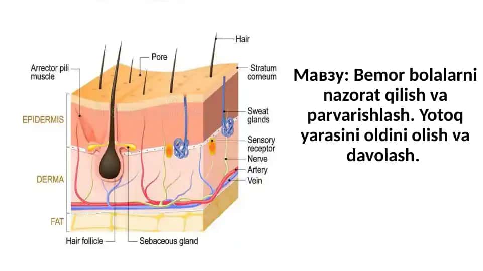 Bemor bolalarni nazorat qilish va parvarishlash. Yotoq yarasini oldini olish va davolash.
