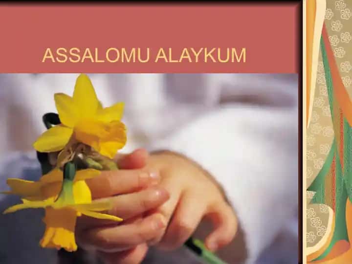 Brom va uning birikmalari