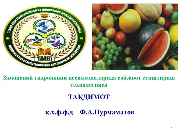 Гидропоника иссиқхоналарида сабзавот етиштириш технологияси