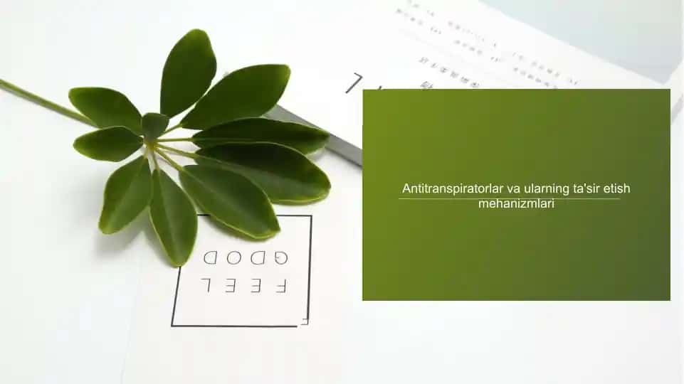 Antitranspiratorlar
