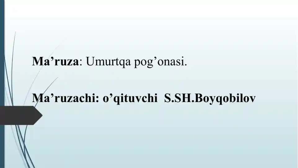 Umurtqapog'onasi