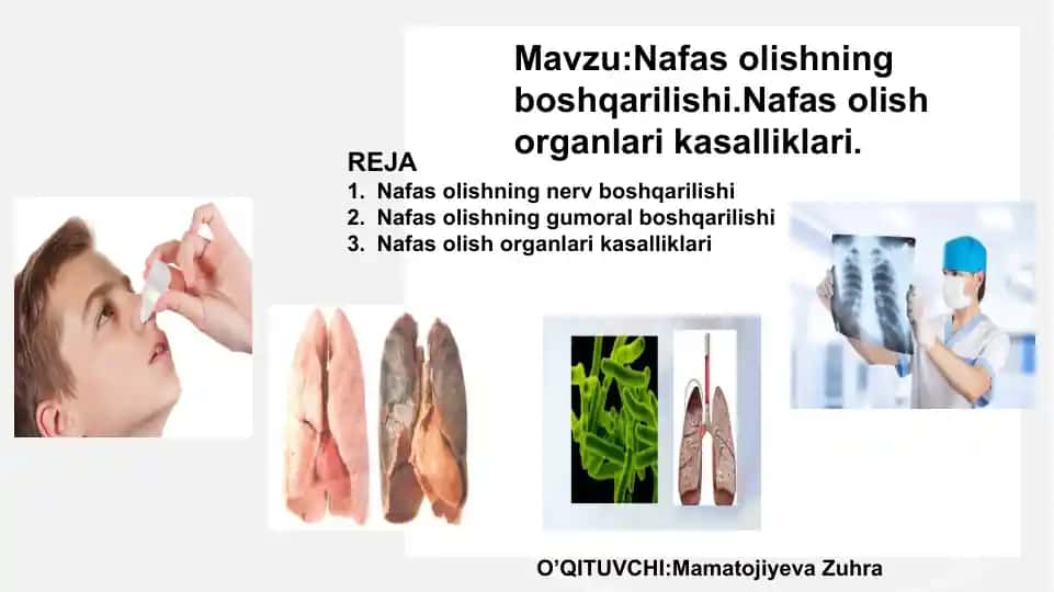 Nafas olishning boshqarilishi.Nafas olish organlari kasalliklari.