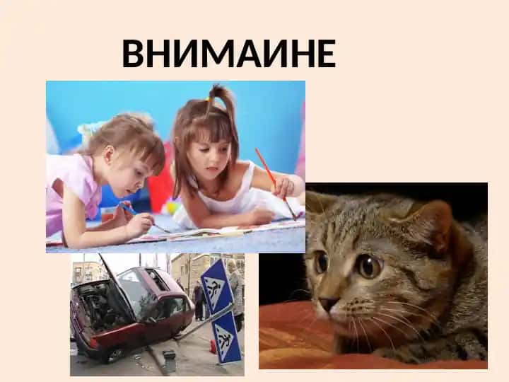 Внимание — основные характеристики и функции