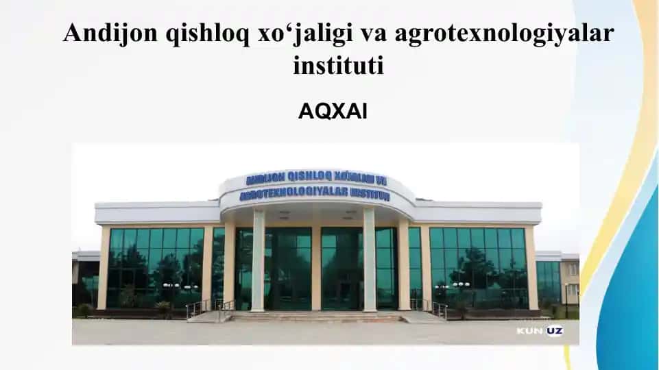 O‘zbek tilining asosiy imlo qoidalari