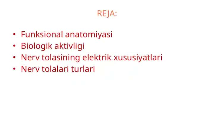 Nerv tuzilishi funksional anatomiyasi