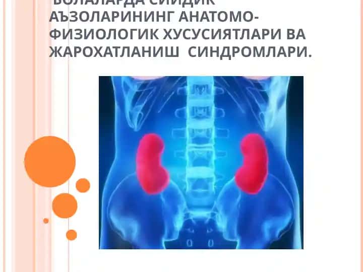 Сиёдик аъзоларининг анатомо-физиологик хусусиятлари