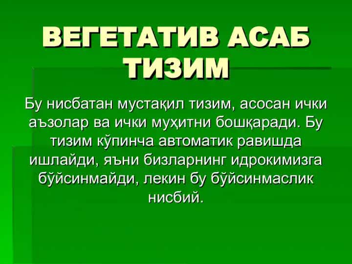 Вегетатив асаб тизим