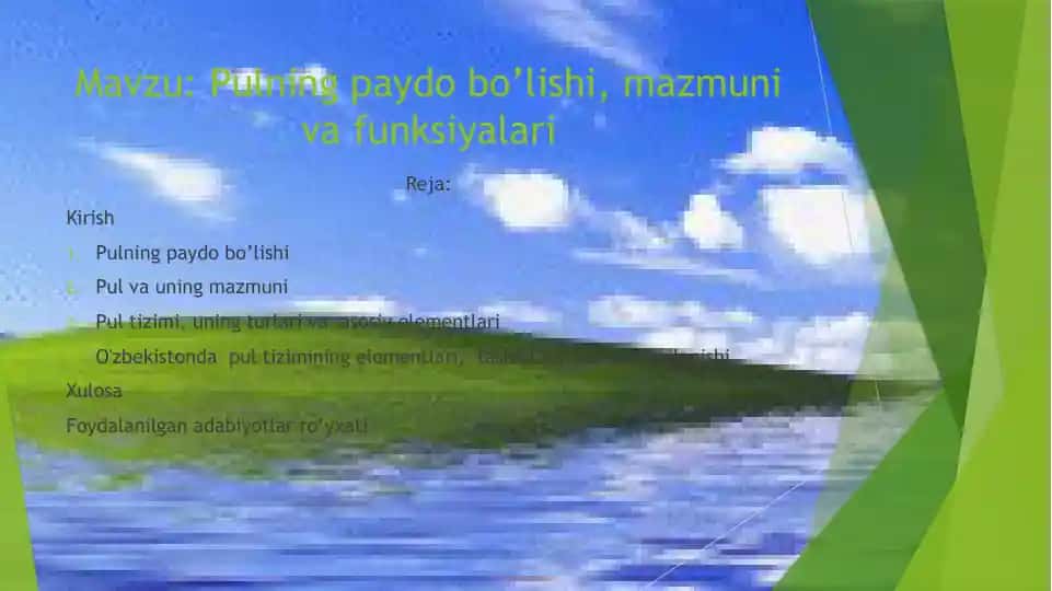 Pulning paydo bo'lishi, mazmuni va funksiyalari