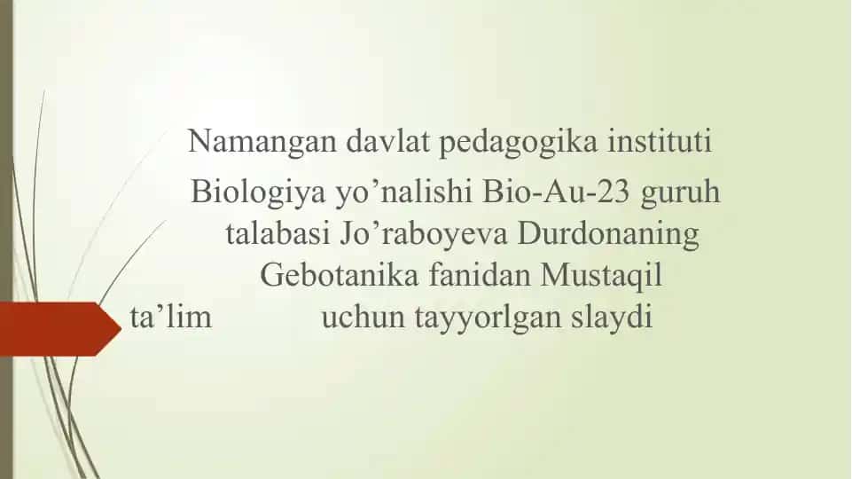 Namangan davlat pedagogika instituti